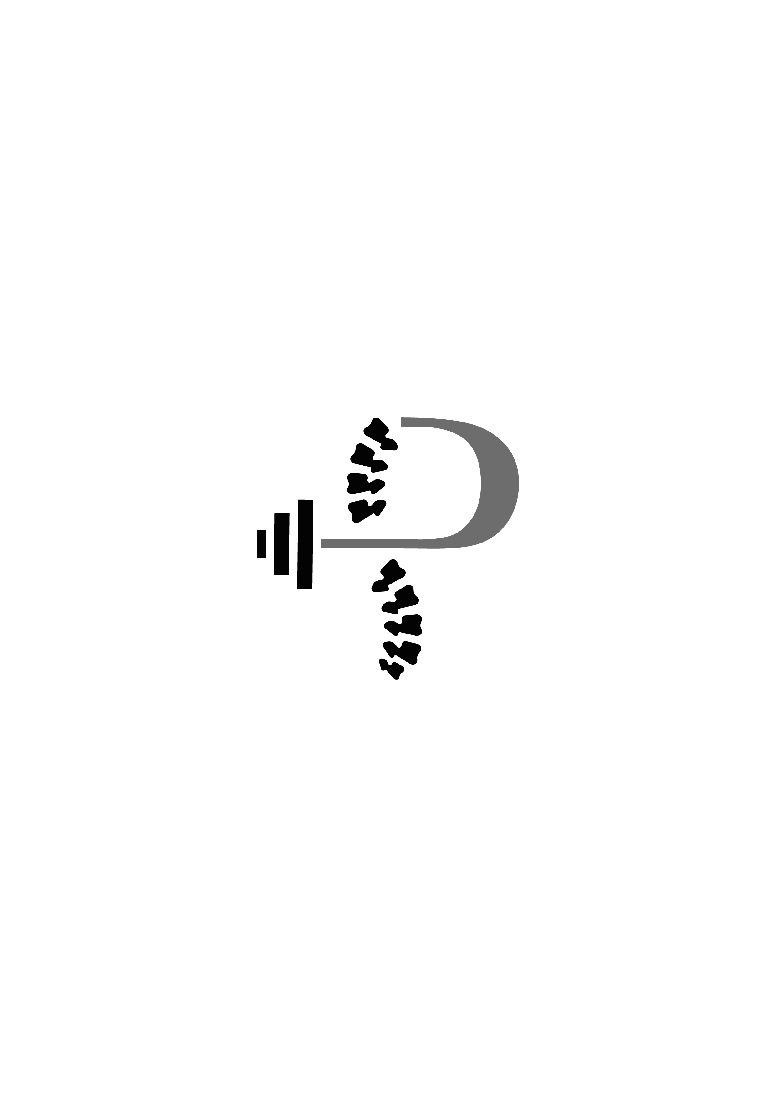 Logo Studio Pryme